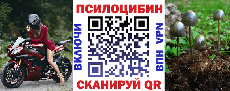 маркетплейс телеграм  Пыть-Ях  Псилоцибиновые грибы ЛСД 